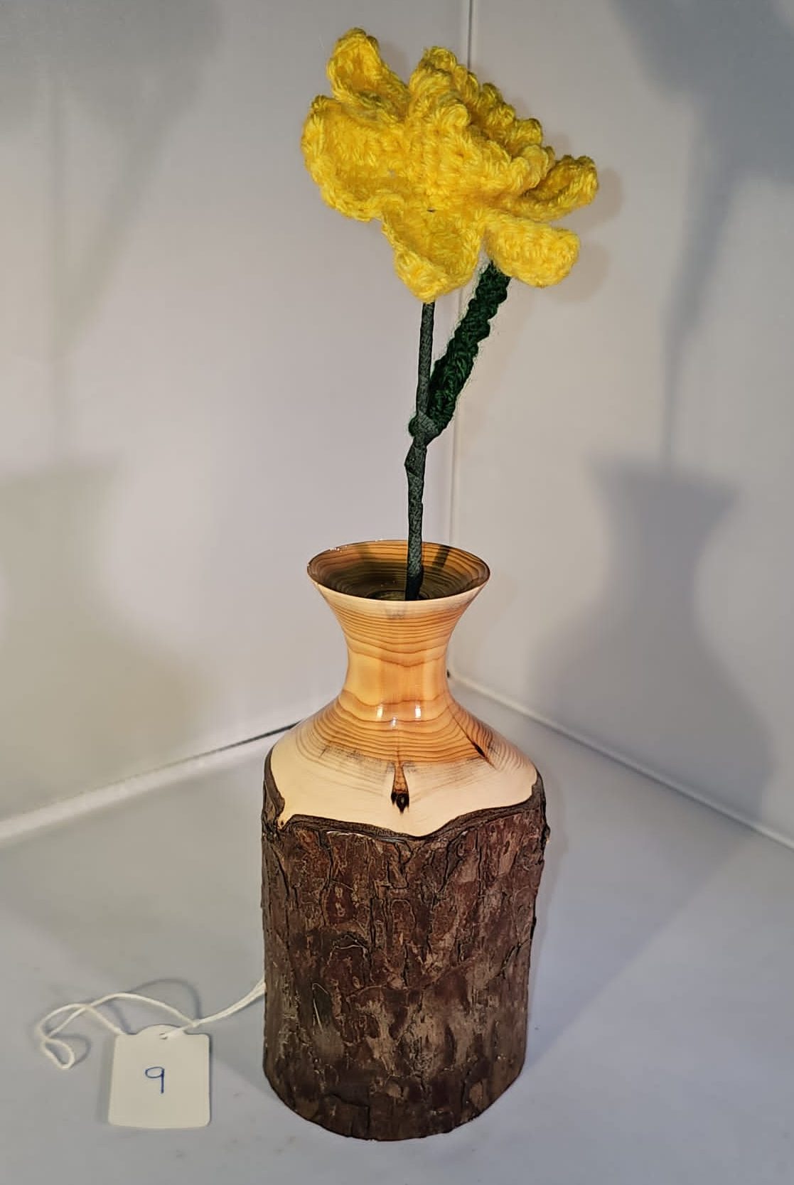 April 2025 Competition (Mature): Ken Power, 2nd