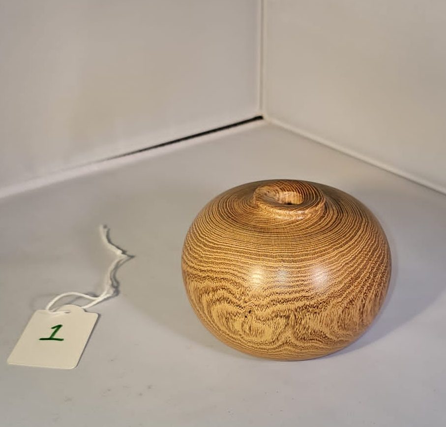 April 2025 Competition (Novice): Sarah Burns, 2nd=