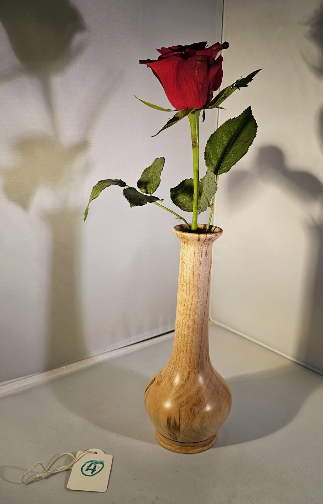 April 2025 Competition (Novice): Diane McKean, 1st