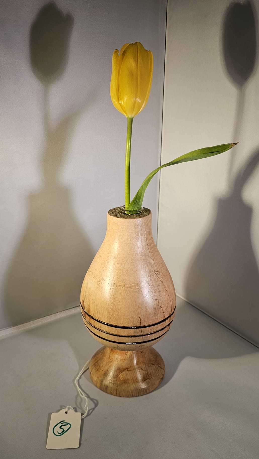 April 2025 Competition (Novice): Bill Dryden, 3rd=